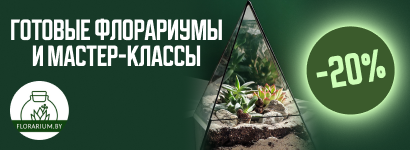 Флорариум